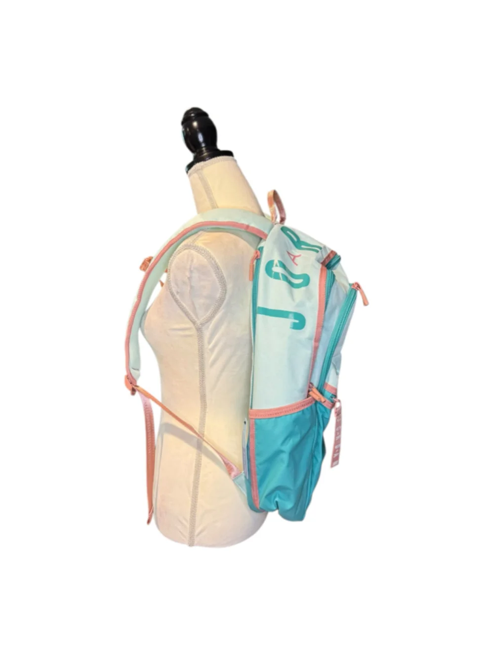 Women's Jordan Backpack One Size Blue and Pink